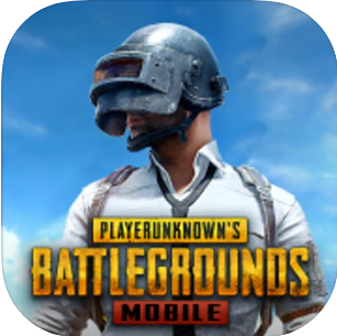 pubglogo